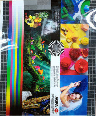 Good price 1920mm 幅 30mic 輝くマルチプリエクストルーション PET ホットラミネートフィルム フォト保護層 オンライン